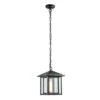 Lámpara Colgante De Exterior Avenida Retro Con Pantalla Transprente 1xE27 IP23 Wonderlamp